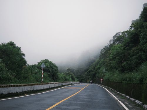 Free Misty road cutting through dense green forest in a foggy mountain landscape. Stock Photo