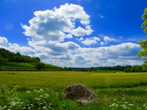 Free stock photo of landscape, nature, sky, field