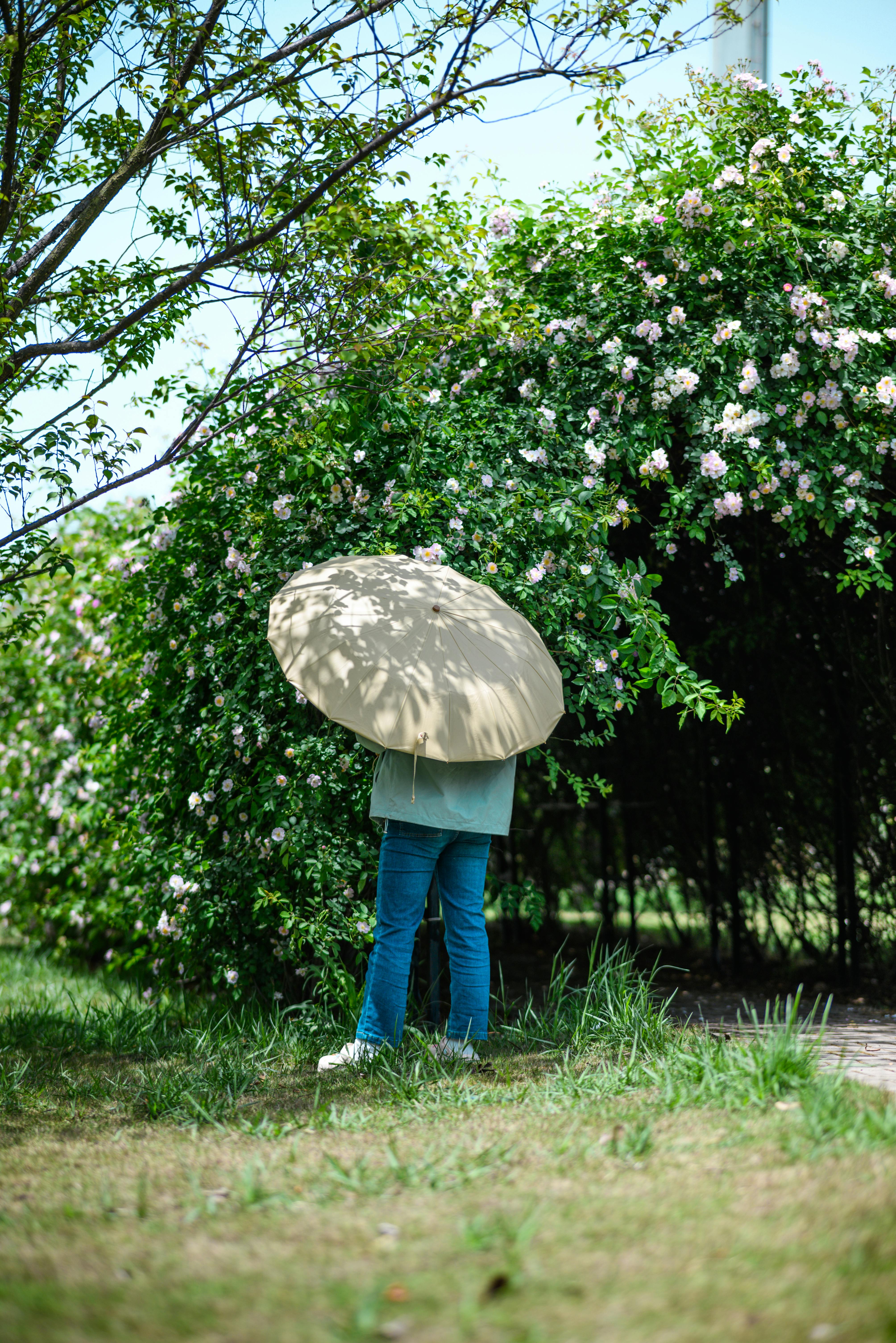 Sophie+Rain+Hot Photos, Download The BEST Free Sophie+Rain+Hot Stock Photos & HD Images