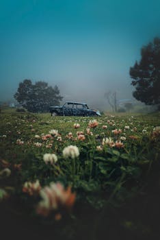 薄雾笼罩下，一辆受损的汽车停在雾气缭绕的风景中，四周是天空下盛开的三叶草丛