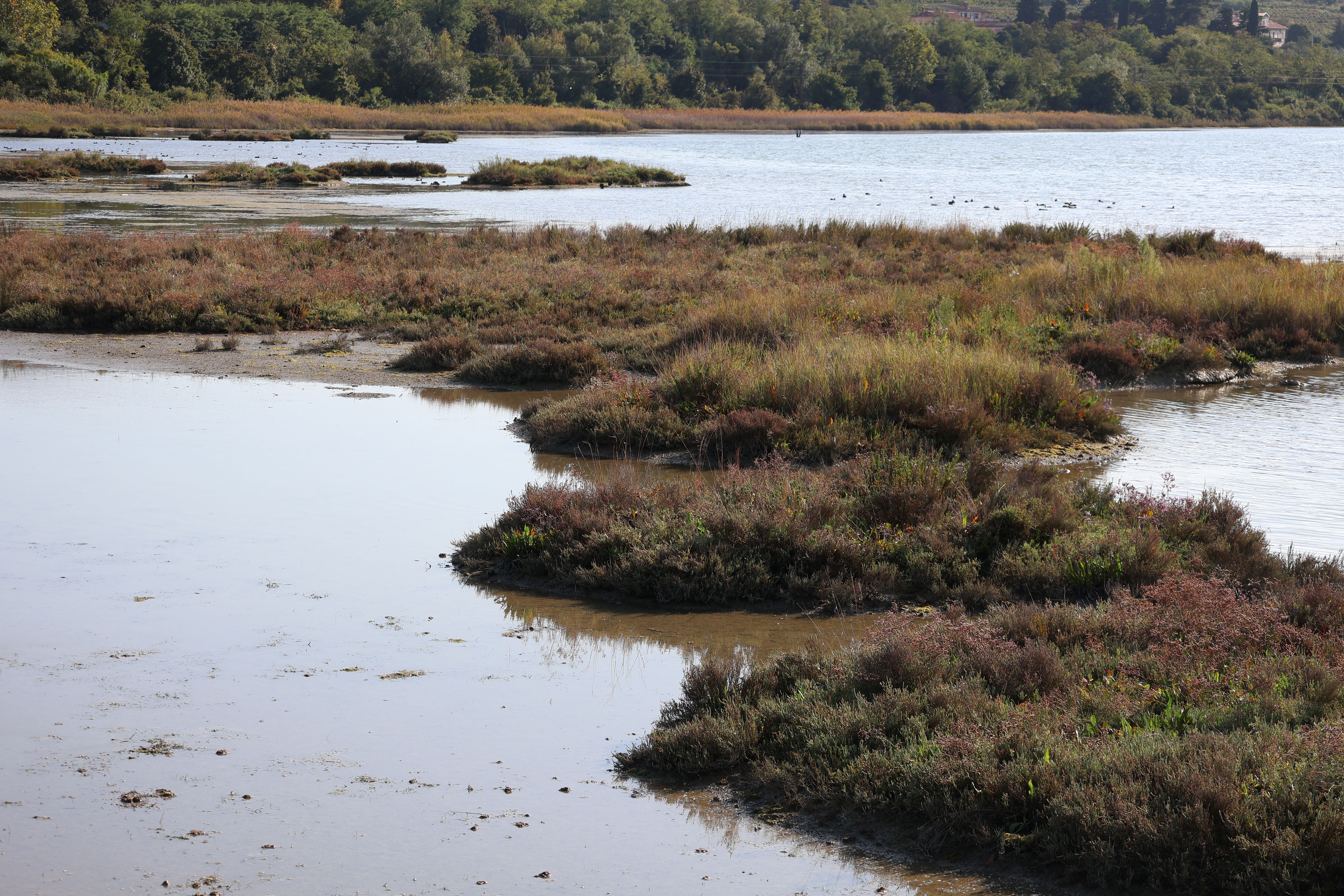 Biome Photos, Download The BEST Free Biome Stock Photos & HD Images