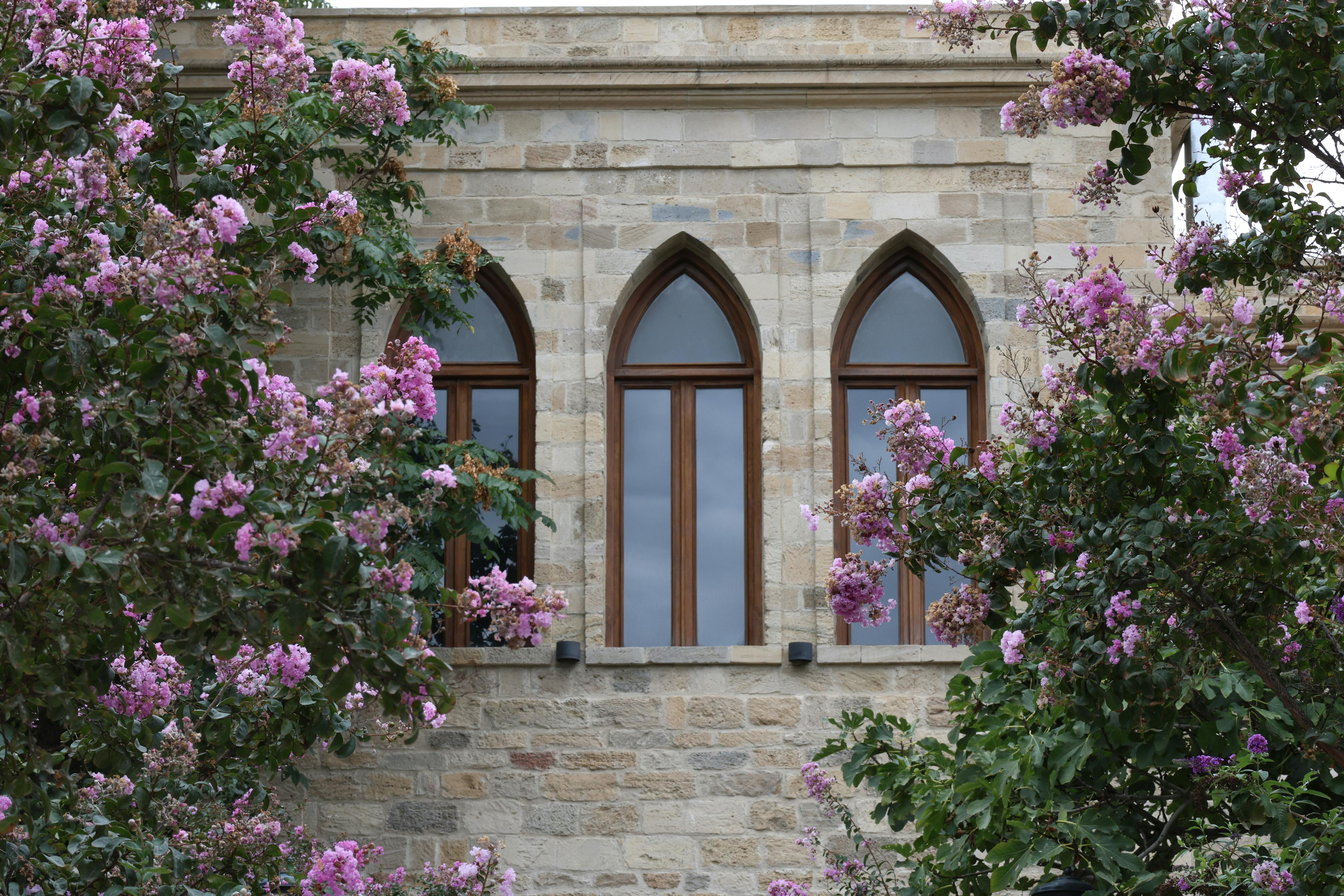 Exploring the Majestic Medieval Cathedrals