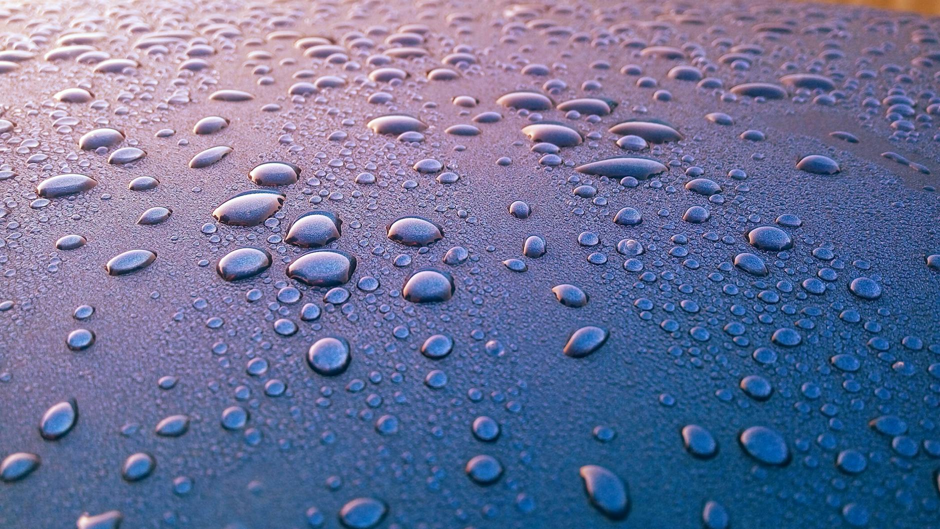 Blue Board With Water Dew Closeup Photography