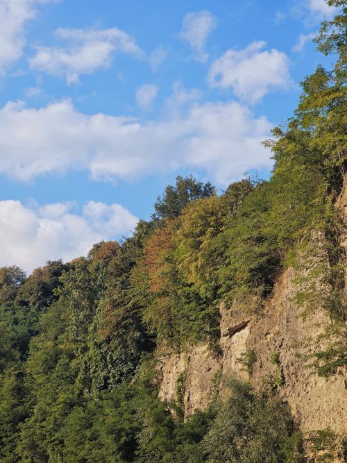 Free Breathtaking view of forest-covered hills under a bright blue sky in Samsun, Türkiye. Stock Photo