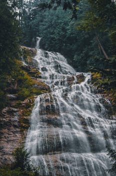 茂密的绿色森林中，迷人的瀑布倾泻而下，营造出宁静的景观