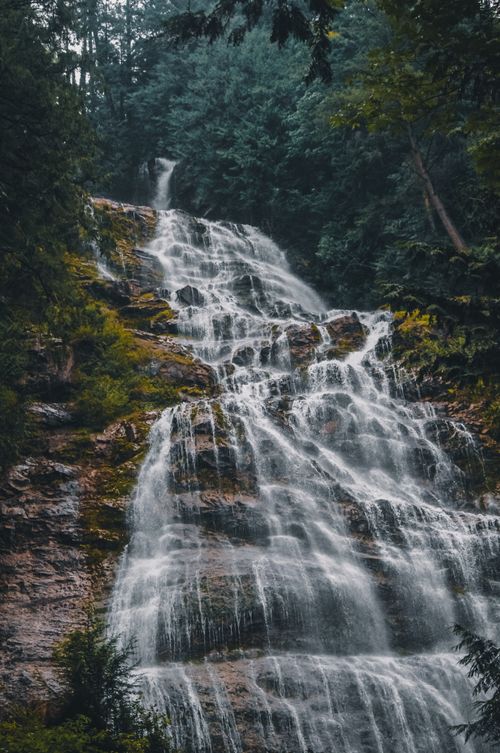 Free Captivating waterfall cascading through dense green forest, creating a serene landscape. Stock Photo