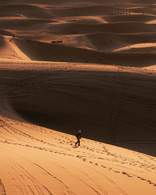 Free A lone person walking across expansive desert dunes under warm sunlight. Stock Photo