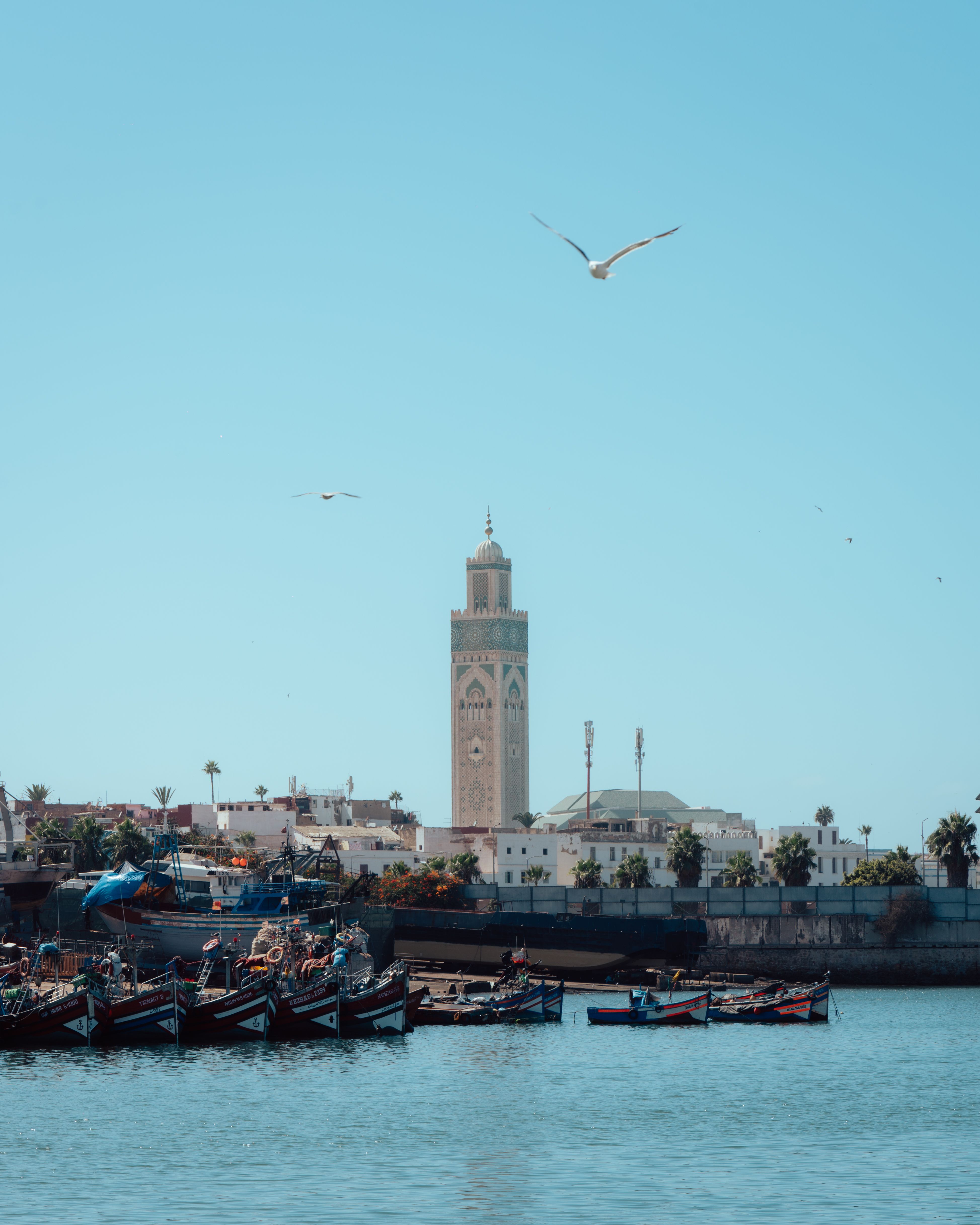Scenic view of the Hassan Tower in Rabat with boats on the water and birds flying.
