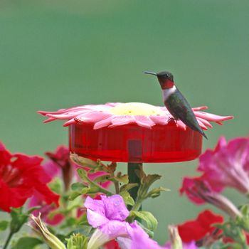 Taos Hum - In New Mexico, there is a place called Taos