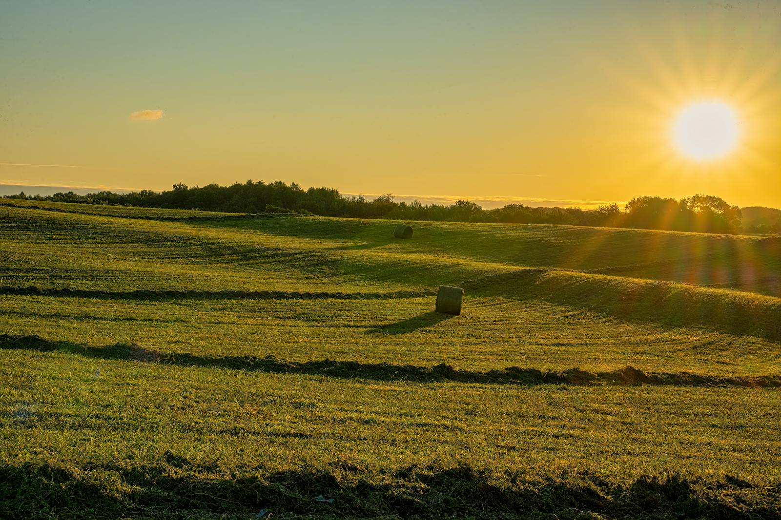 Sunset Over Green Field Of Corn, Iowa, Usa Photos, Download The BEST ...