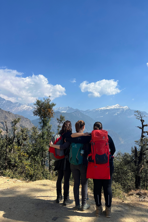 Free Himalayan Trek Group View Stock Photo