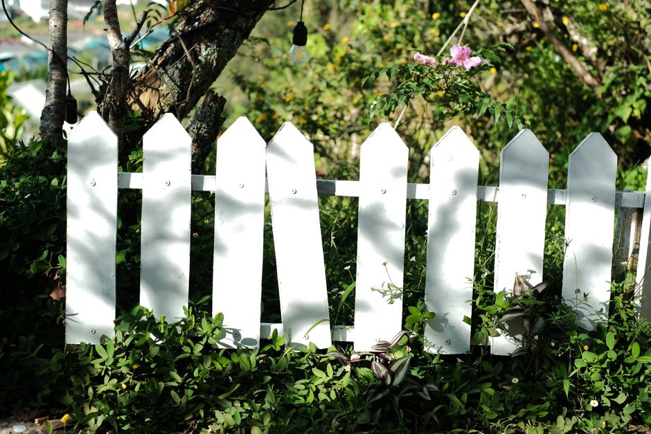 A white picket fence surrounded by lush greenery in a sunny outdoor setting.