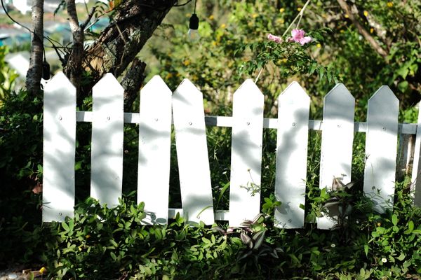 White picket privacy fence surrounded by lush greenery in a sunny garden