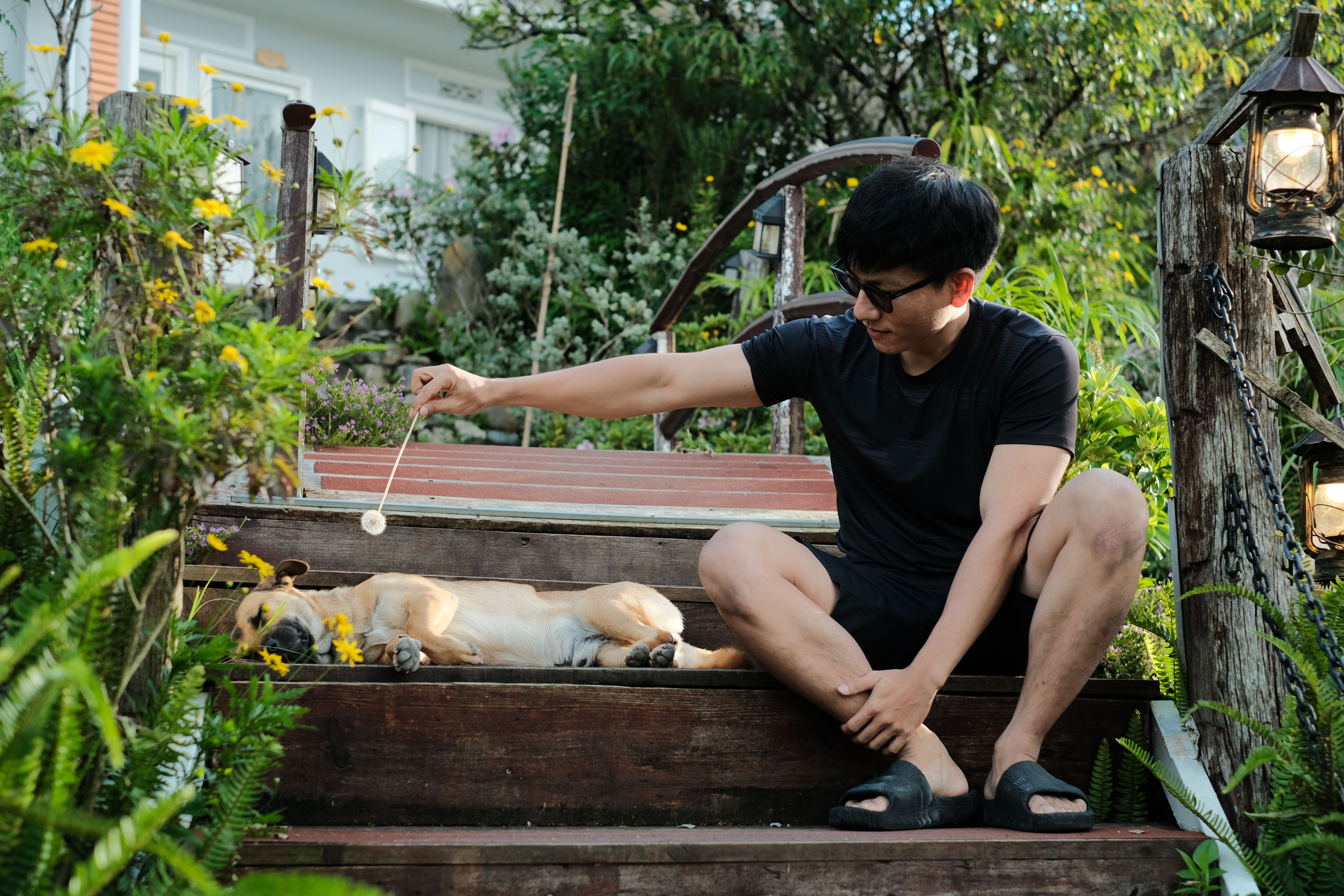 funny merchandise for animal lovers and pet owners