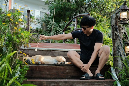 A man enjoys a sunny day outdoors with a sleeping dog on wooden steps surrounded by lush greenery.