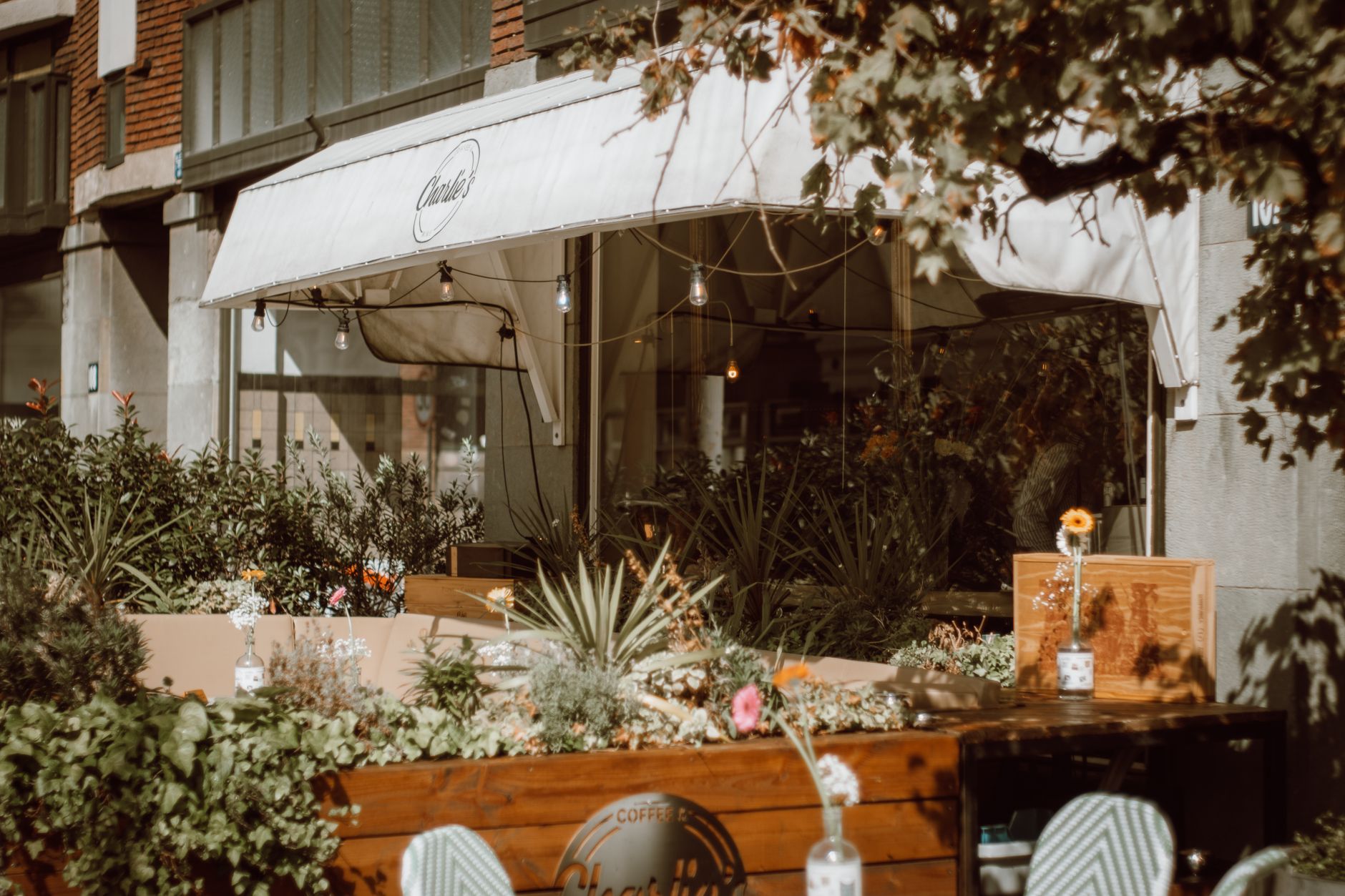 Charming outdoor café in Rotterdam featuring lush greenery and soft lighting.
