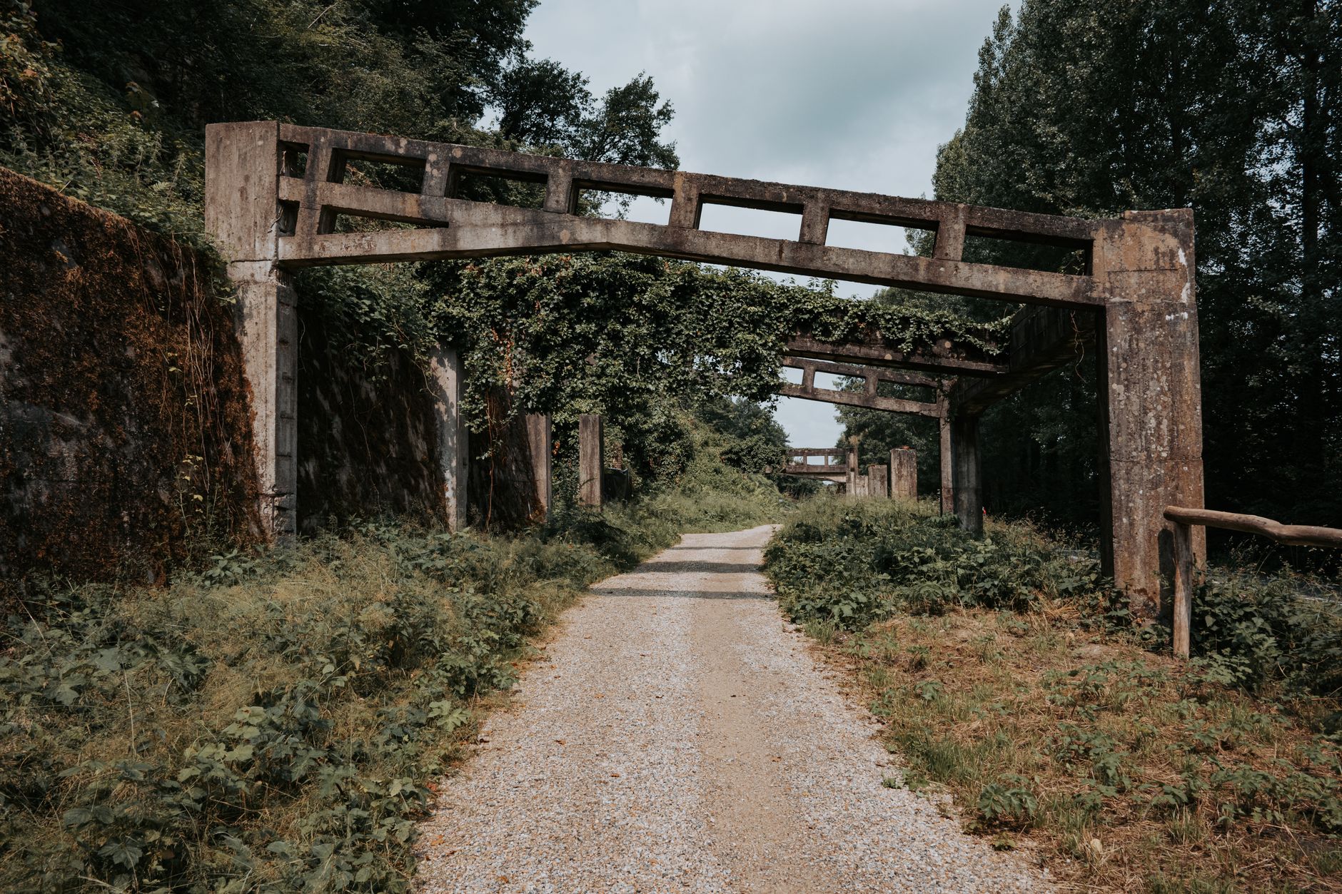 Abandoned concrete structures covered in ivy along a forested path in Limburg, Netherlands.