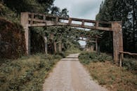 Historic Concrete Structures in Forest Pathway