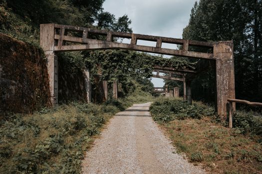 Abandoned concrete structures covered in ivy along a forested path in Limburg, Netherlands.