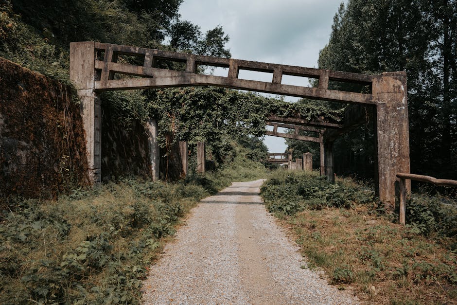 Exemples de projets PFE en informatique