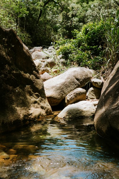 Free A tranquil stream flows through rocks and lush greenery in Lavrinhas, São Paulo, Brazil. Stock Photo