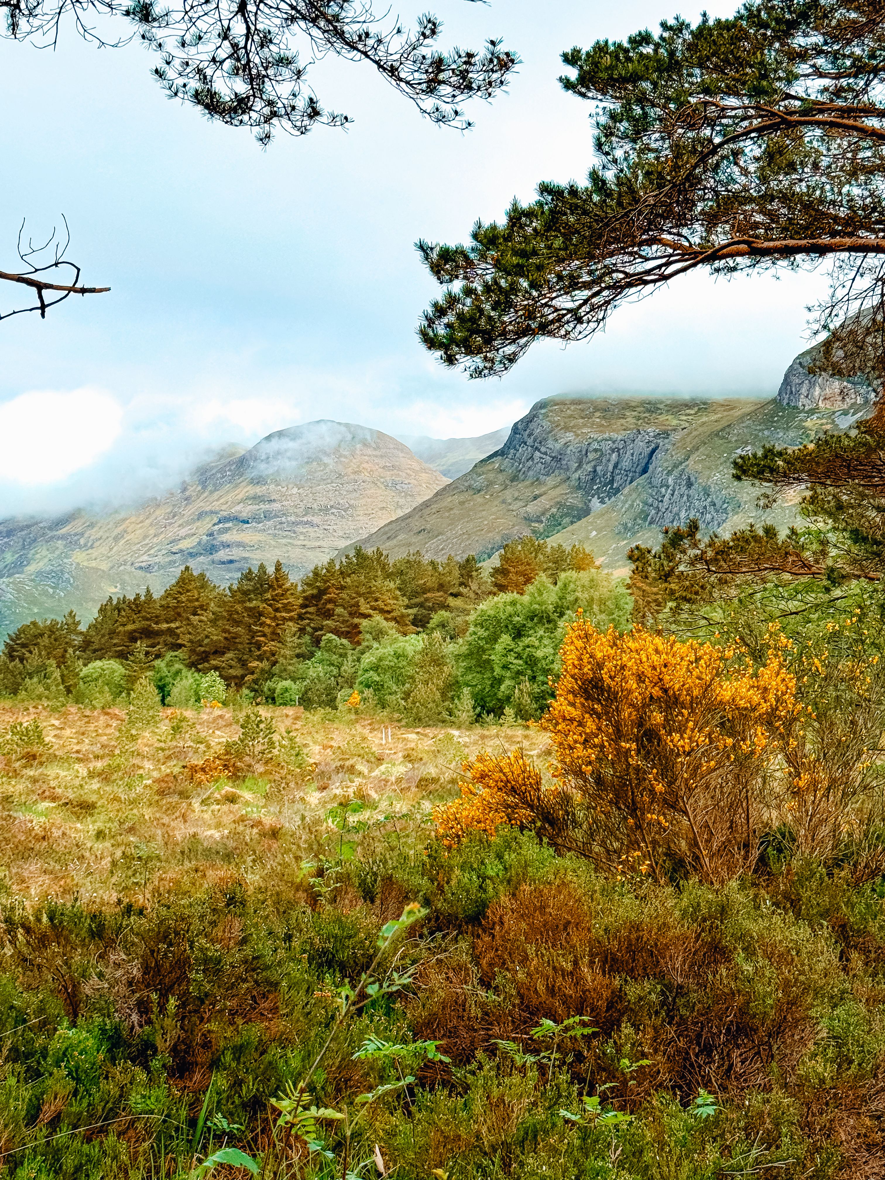 Scottish Highlands mountains and vibrant foliage near Glasgow