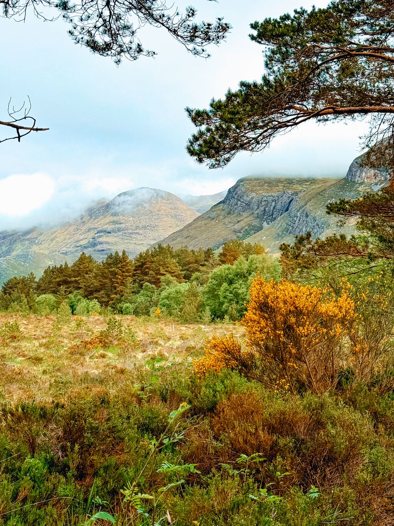 Scottish landscape for Who Qualifies for Free Energy Grants in Scotland?