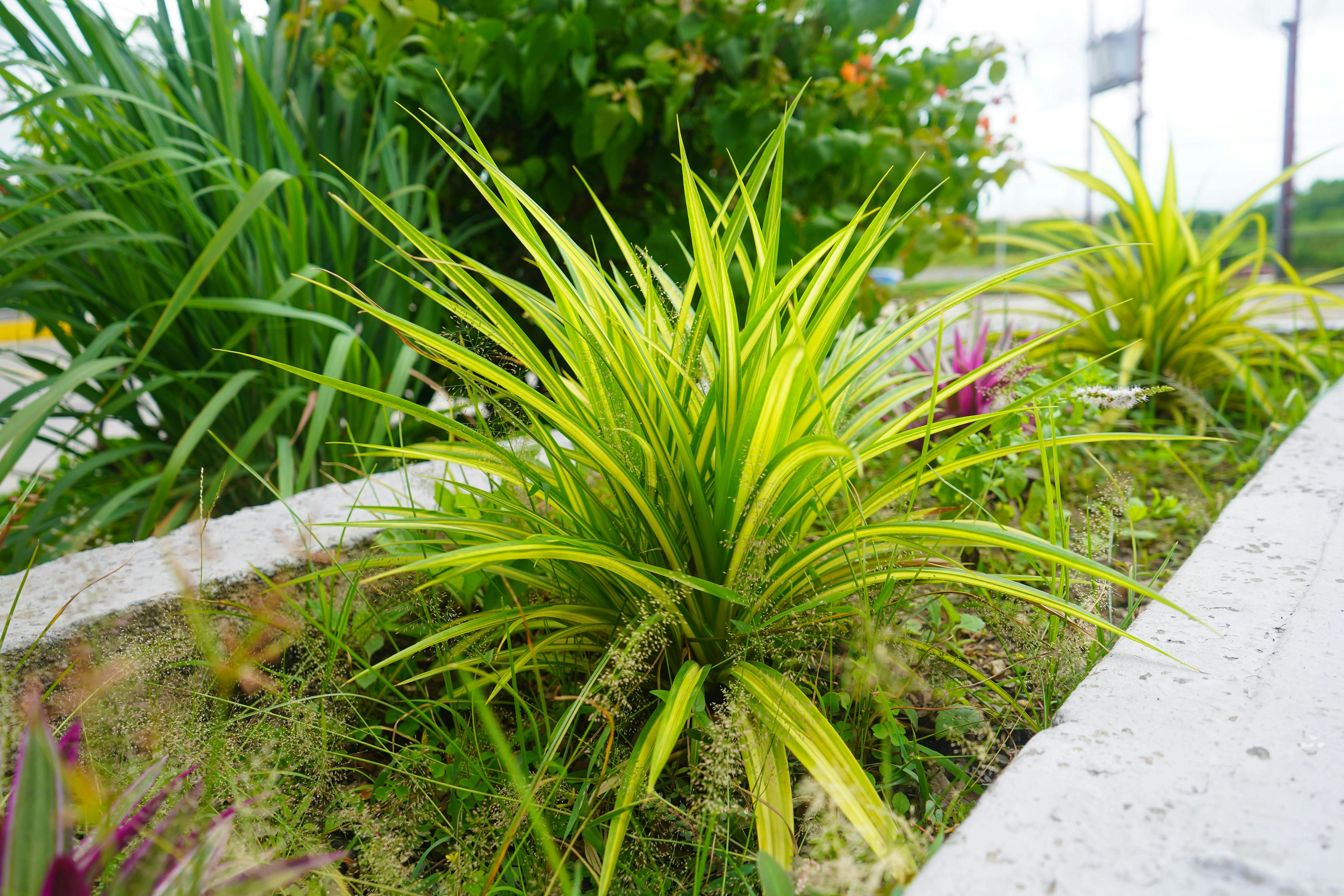 Discover Hidden Gems in Urban Eco Spaces