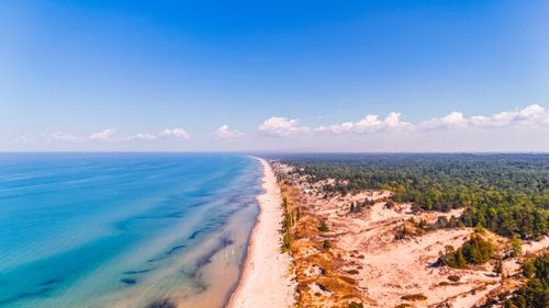 Free A stunning aerial view of a sandy coastline meeting a lush forest under a clear blue sky. Stock Photo