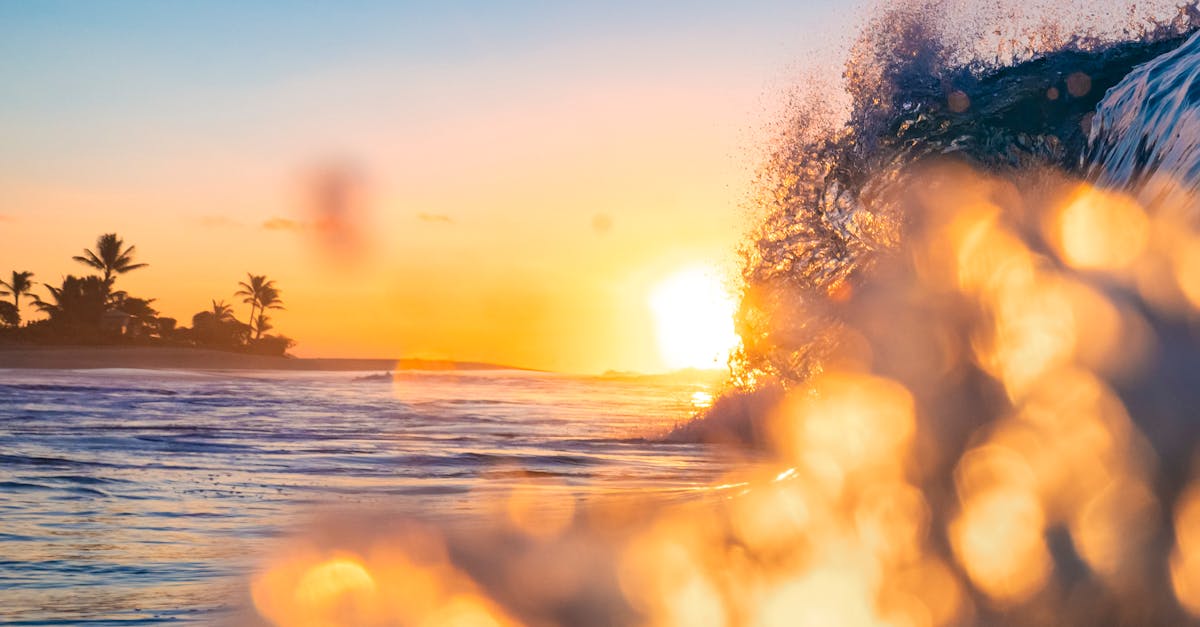 Photo by Sean Thomas Sandy Sunrise
