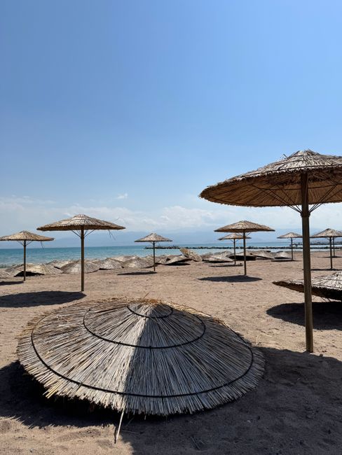 Peaceful beach scene with straw umbrellas and blue sky, perfect for relaxation.