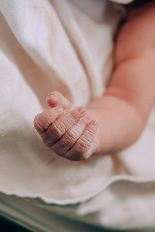 Free A tender close-up of a newborn's hand resting on a soft white blanket, highlighting innocence and new beginnings. Stock Photo