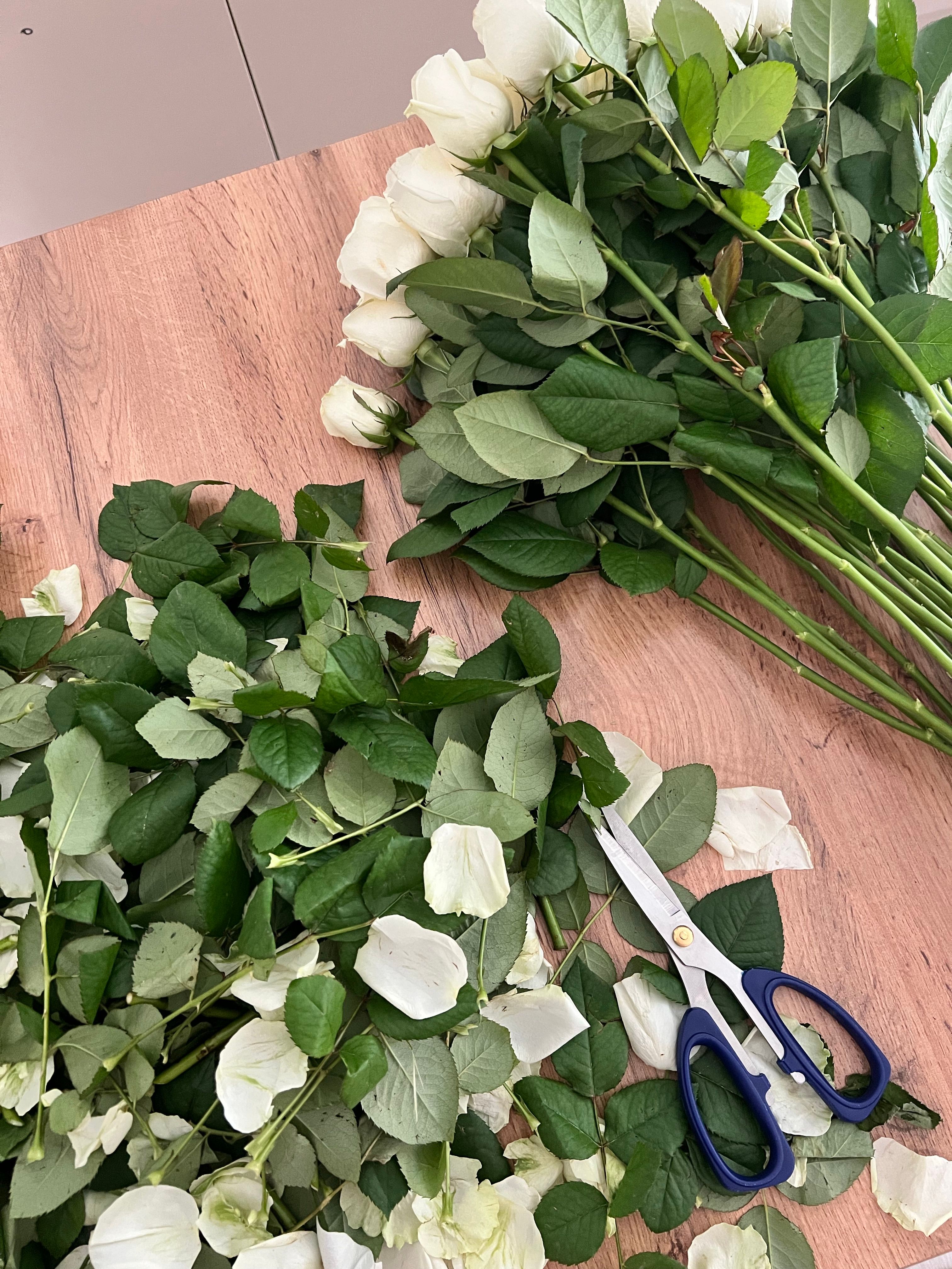 Fresh White Roses on Wooden Table with Scissors · Free Stock Photo