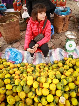 A vendor in Lào Cai, Vietnam, selling fresh citrus fruits at an outdoor market.
