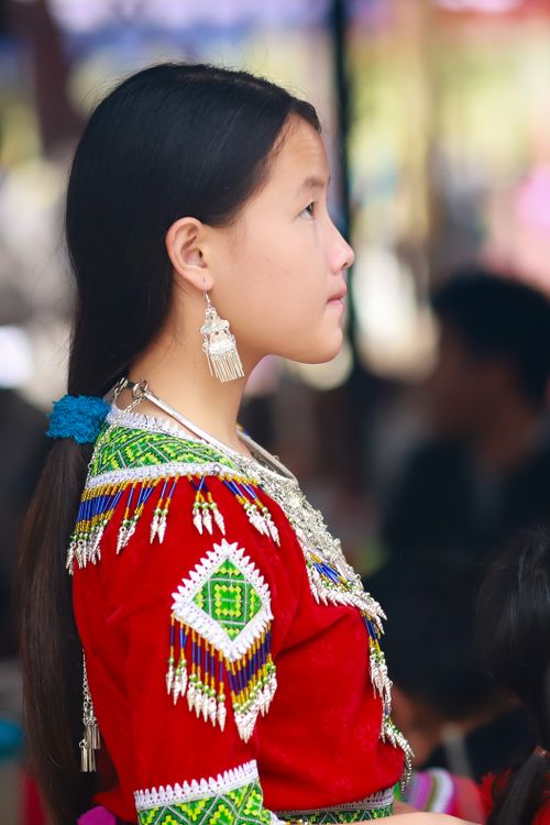 Free Side profile of a young Hmong girl in traditional attire, showcasing cultural beauty in Lào Cai, Vietnam. Stock Photo