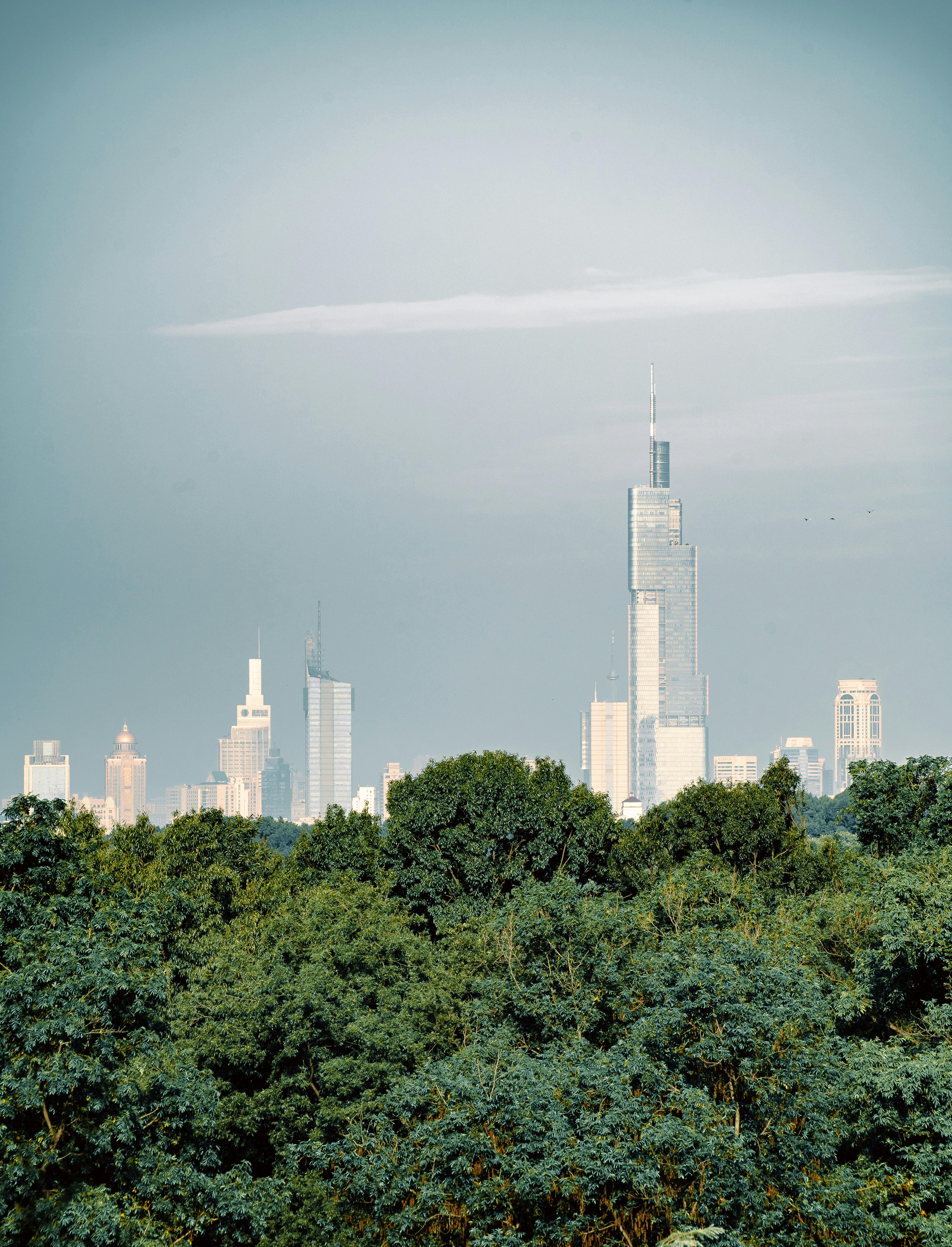View of Nanjing's skyline featuring Zifeng Tower, framed by lush green trees.