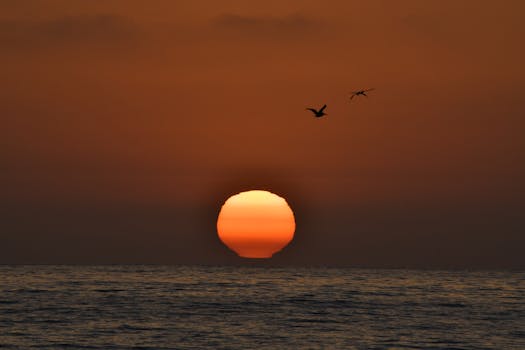 Stunning sunset view over the ocean in Carlsbad, California, with silhouettes of birds against the vibrant sky.