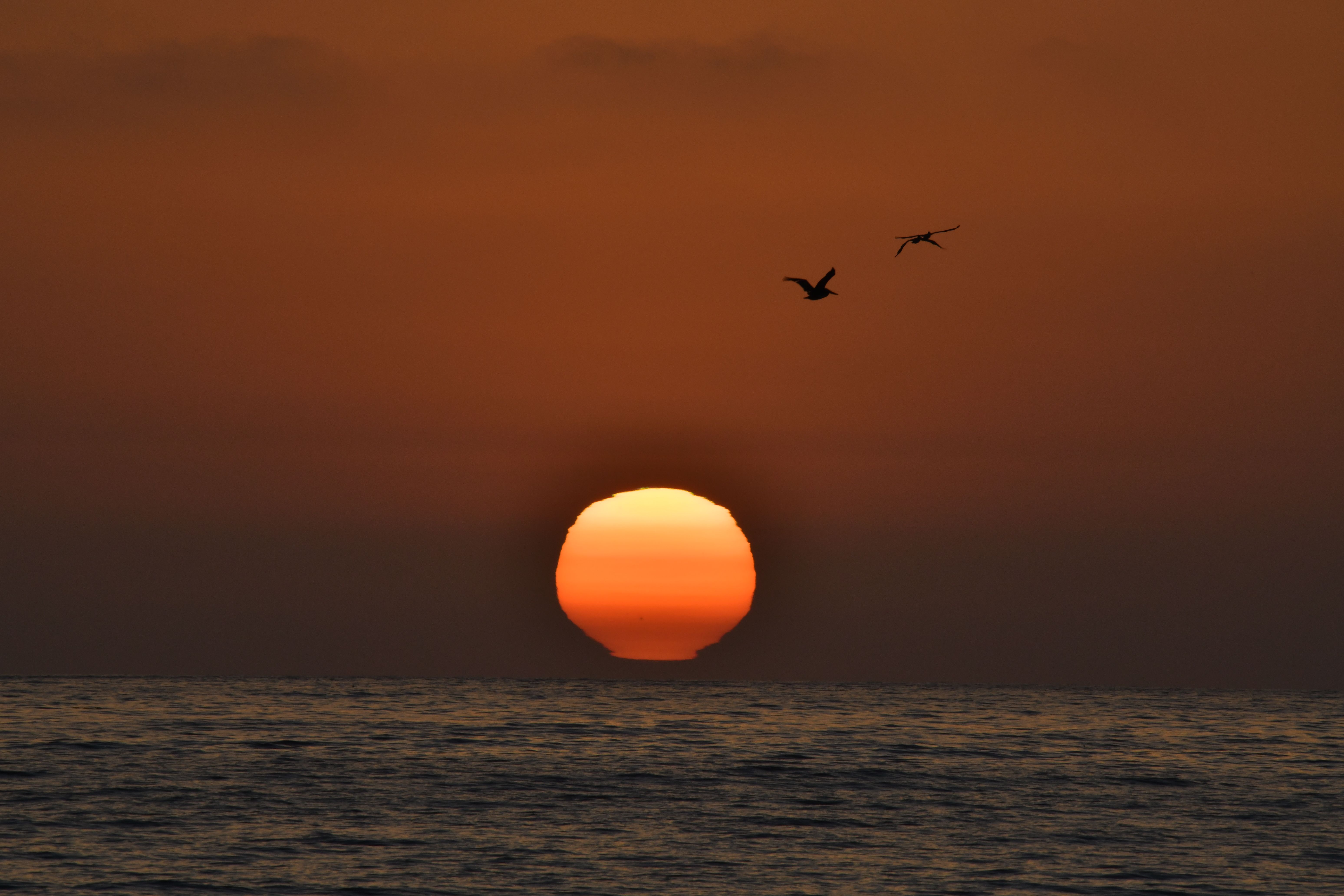 Dramatic Sunset over the Pacific Ocean in Carlsbad, CA · Free Stock Photo