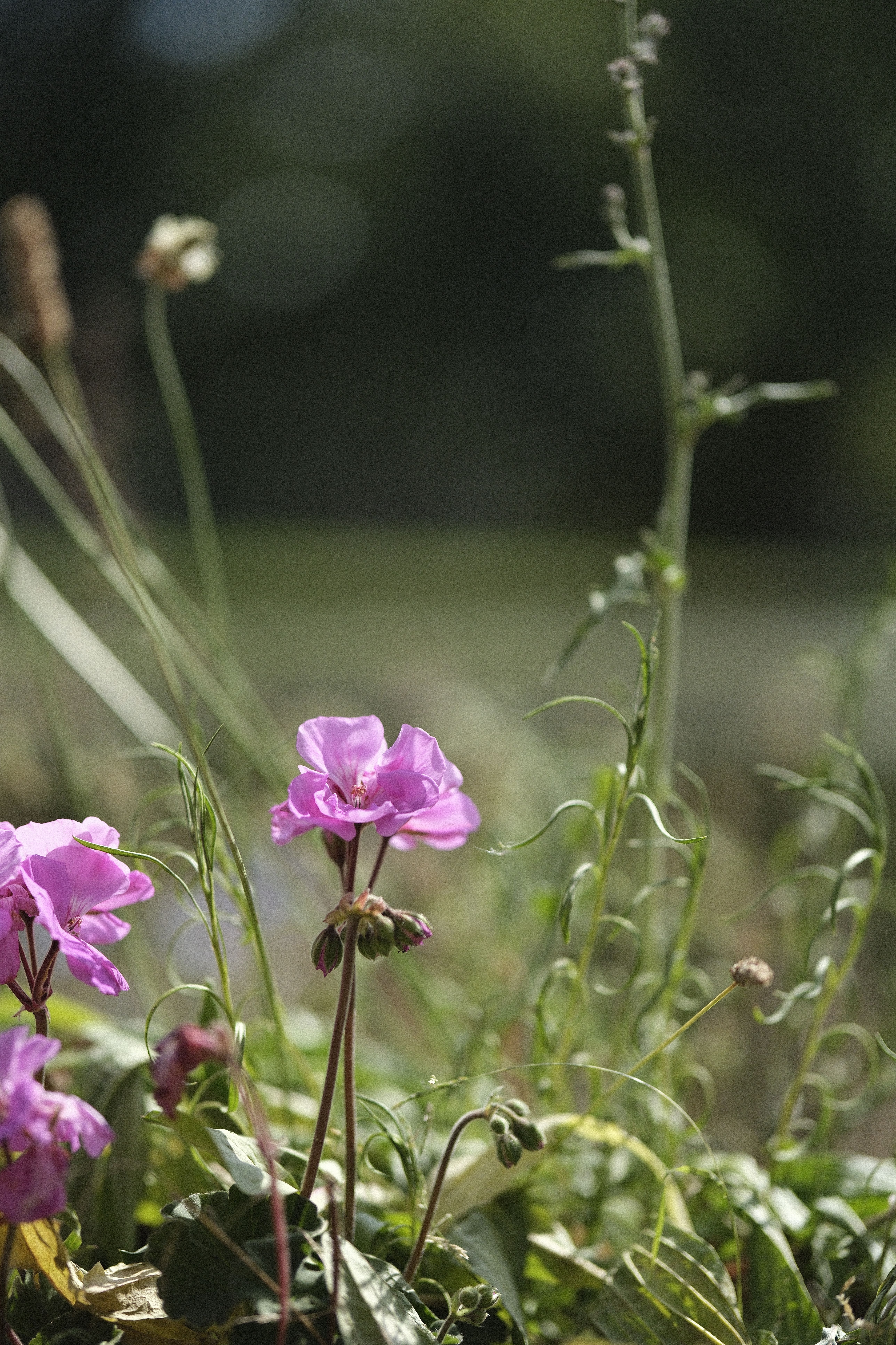 Calming Photos, Download The BEST Free Calming Stock Photos & HD Images