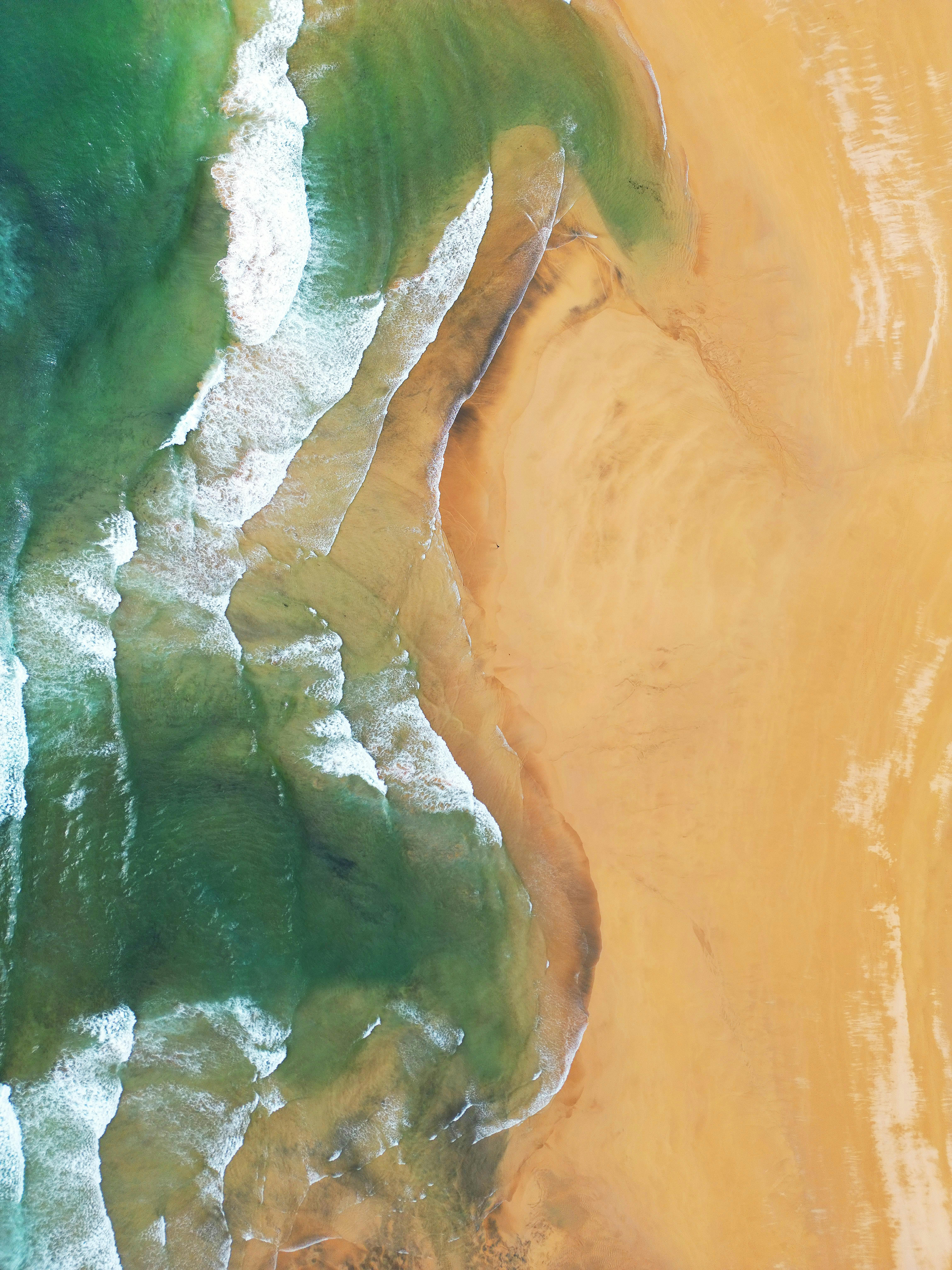 Boner+On+The+Beach Photos, Download The BEST Free Boner+On+The+Beach Stock Photos & HD Images