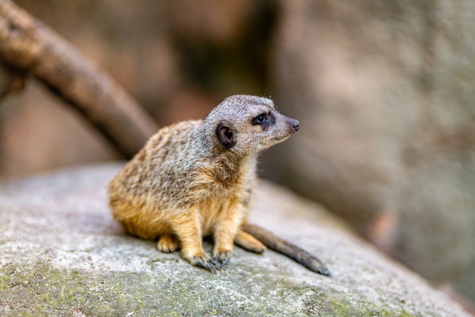 Romantic Zagreb: A Couple's Getaway Guide 2026