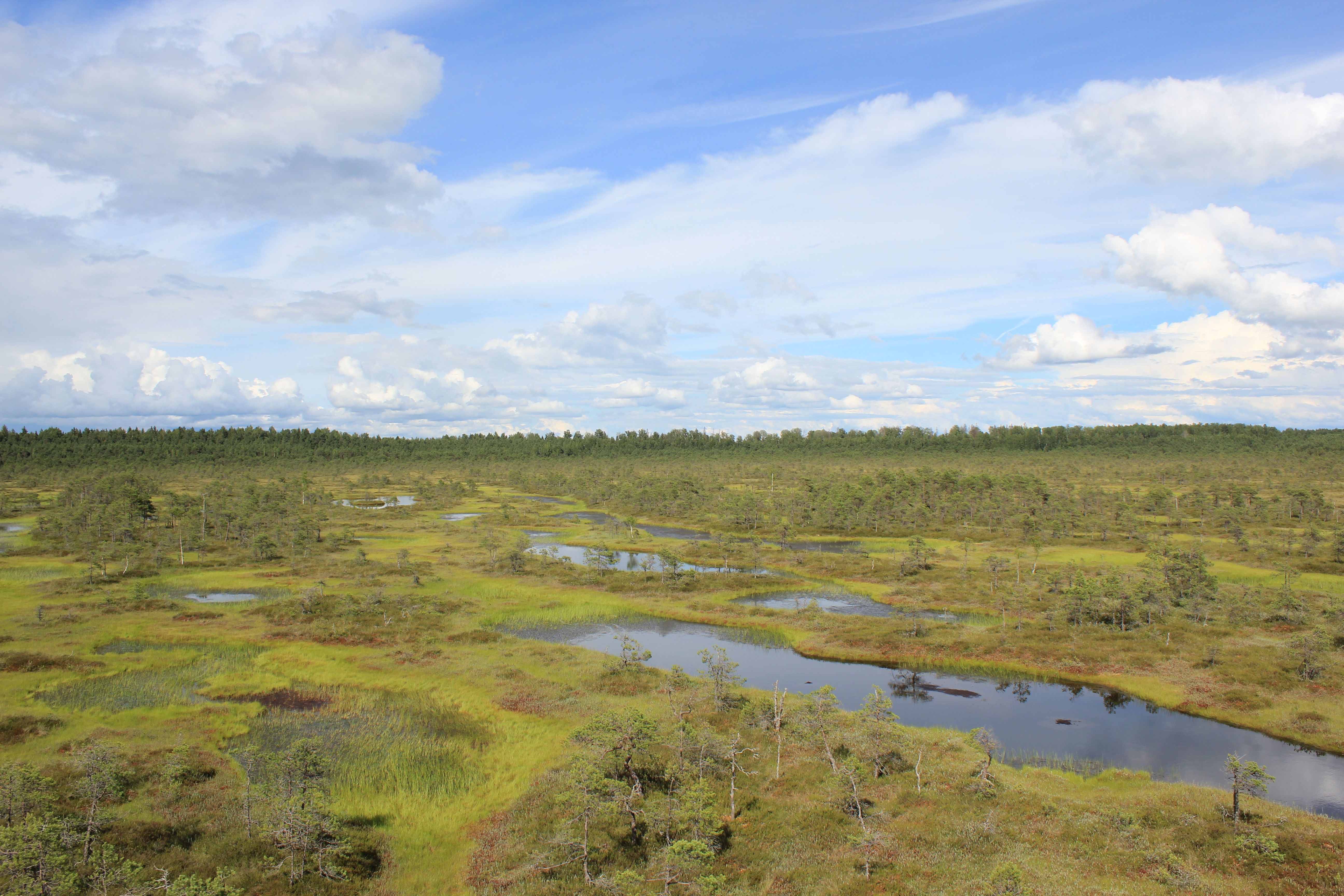 South Ostrobothnia