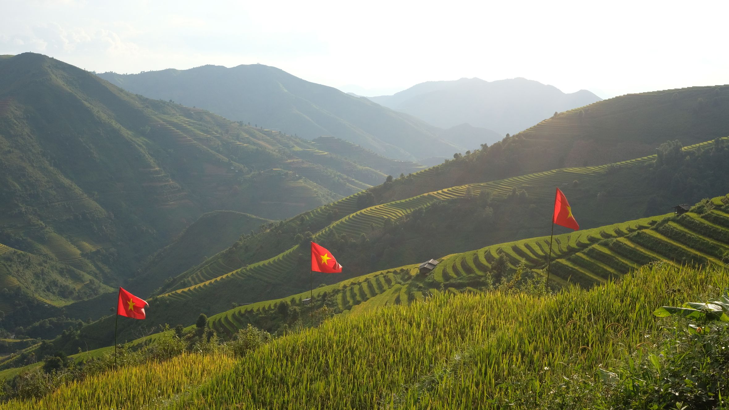 Picturesque view of terraced rice fields with Vietnam flags at sunrise.