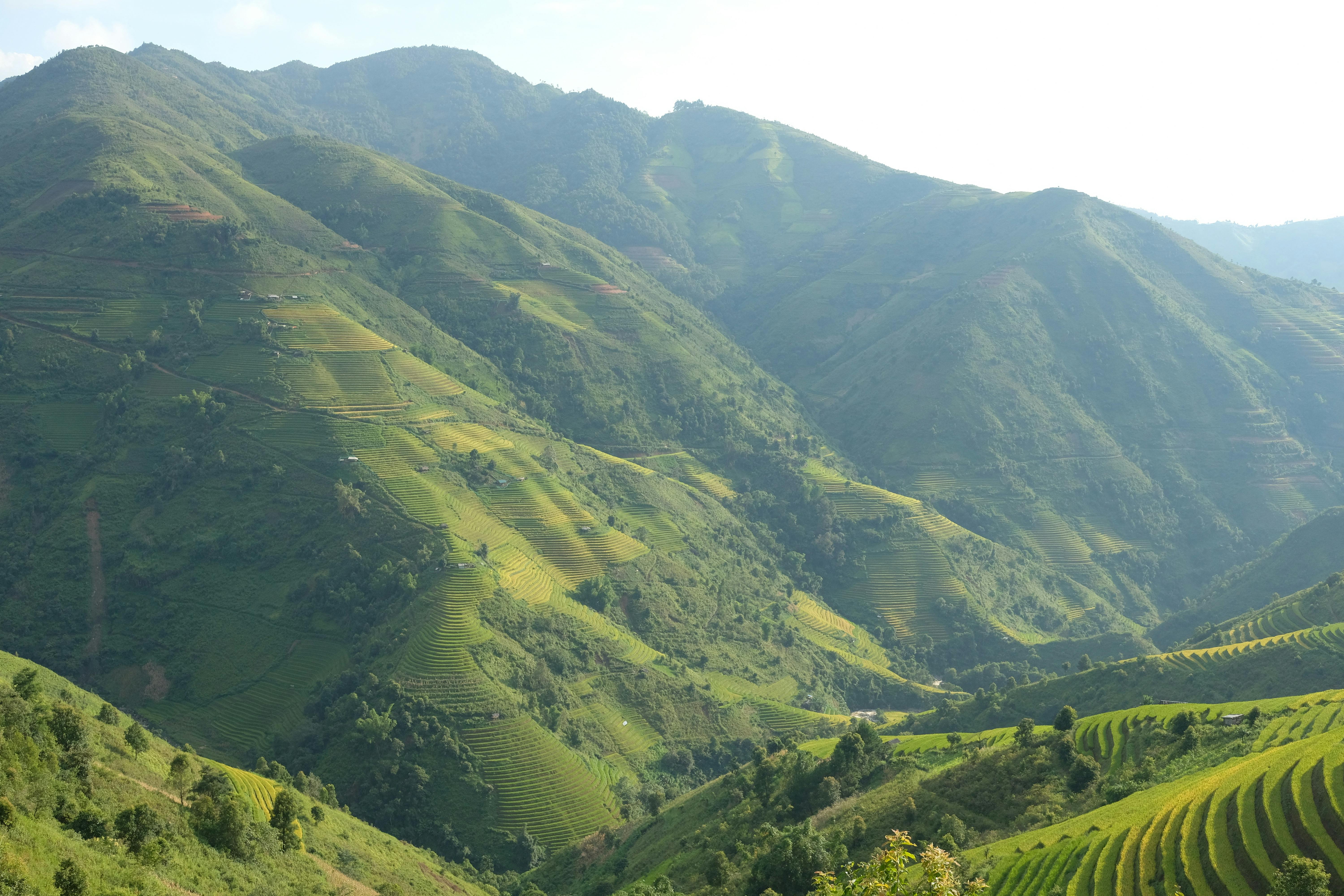 Sustainable Farming Practices for a Greener Future