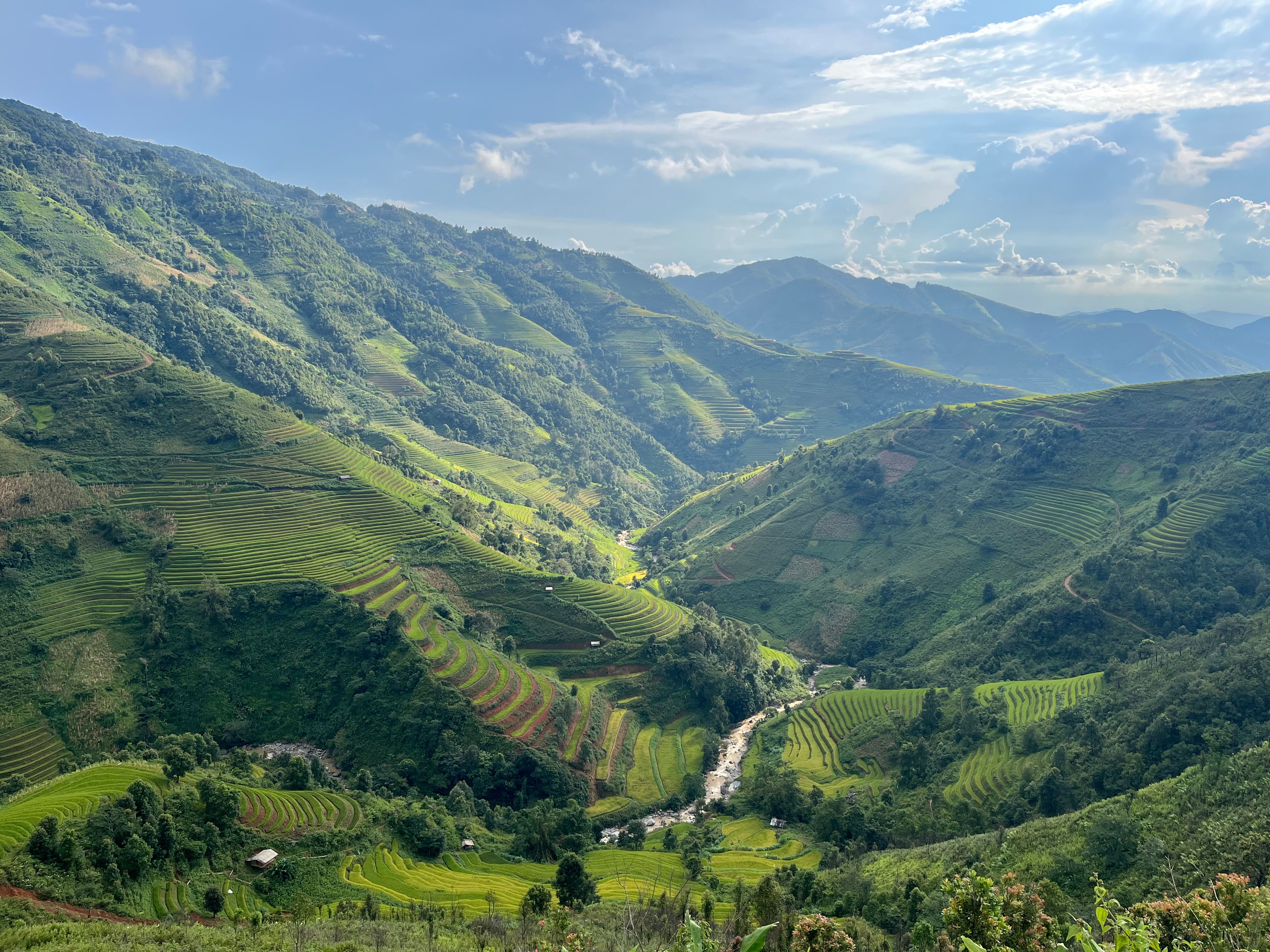 Scenic Rice Terraces in Lush Mountain Valley · Free Stock Photo
