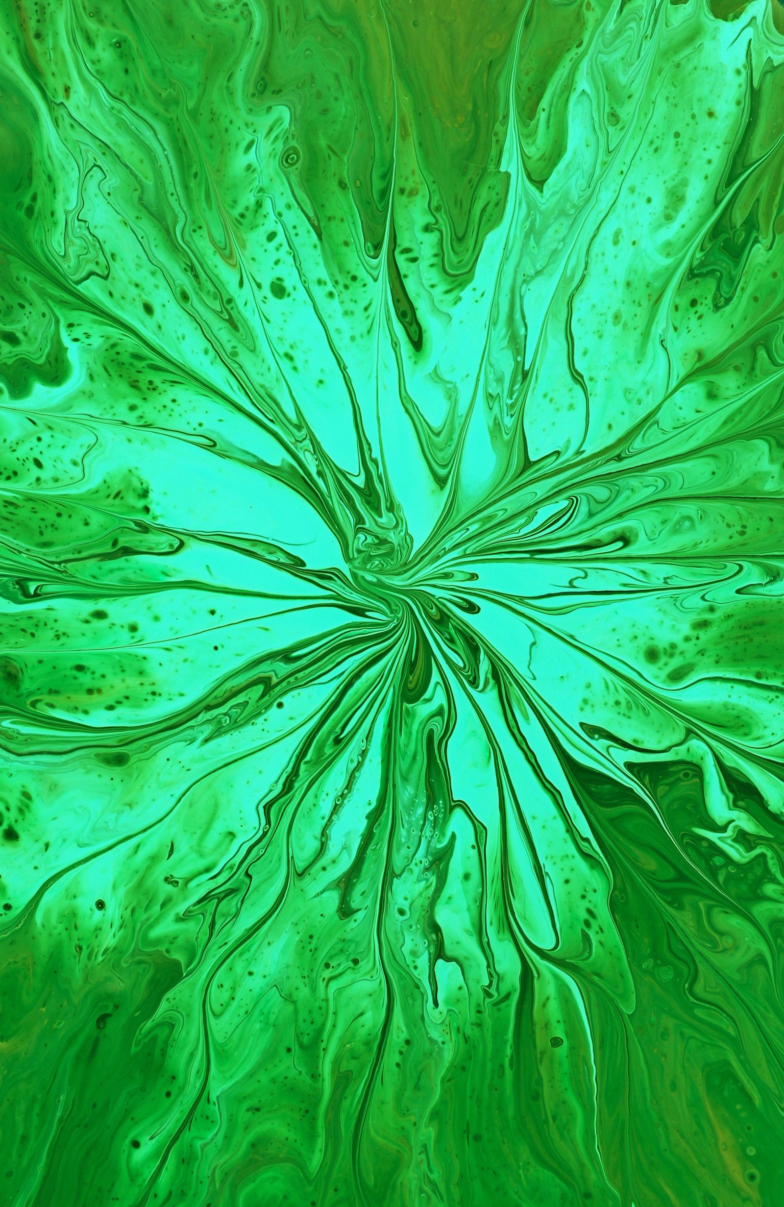 Emerald Green Photos, Download The BEST Free Emerald Green Stock Photos ...