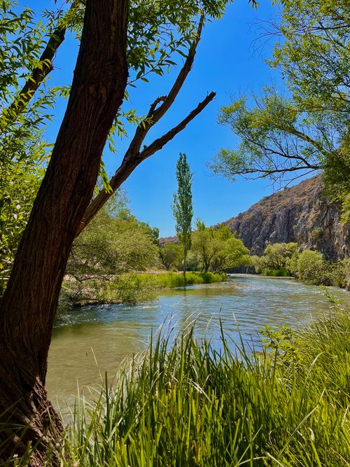 Free Tranquil river scene framed by lush greenery and clear blue sky, creating a peaceful vibe. Stock Photo