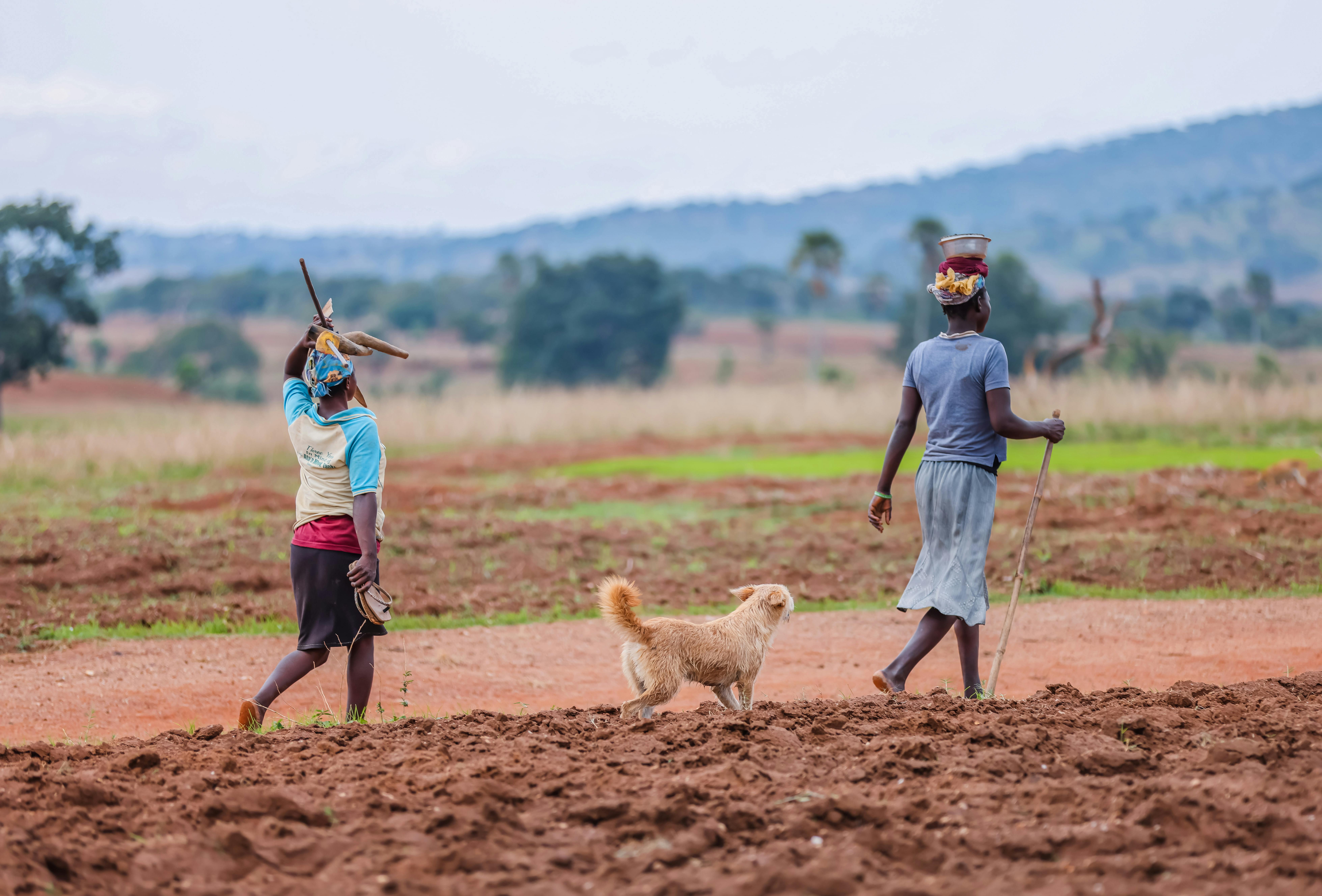 金流管理大作戰 創業公司永續經營的五大關鍵 - 財務報表分析圖表