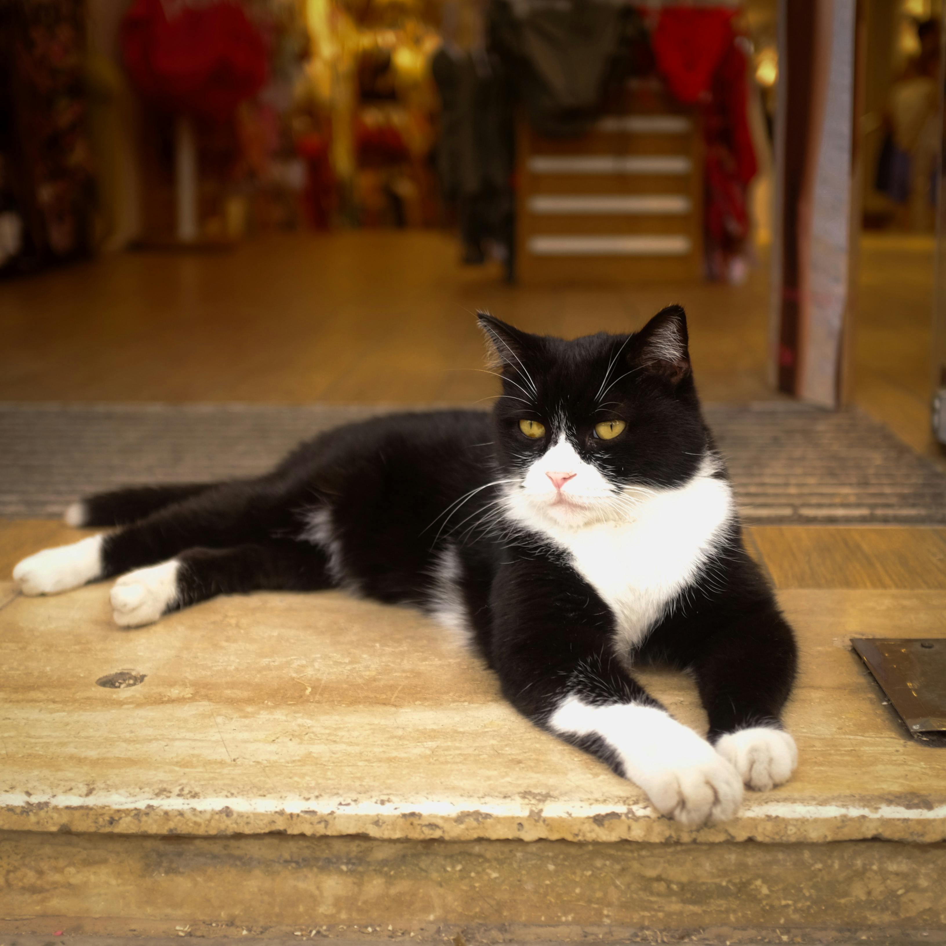 Panties+Down+And+Bend+Over Photos, Download The BEST Free Panties+Down