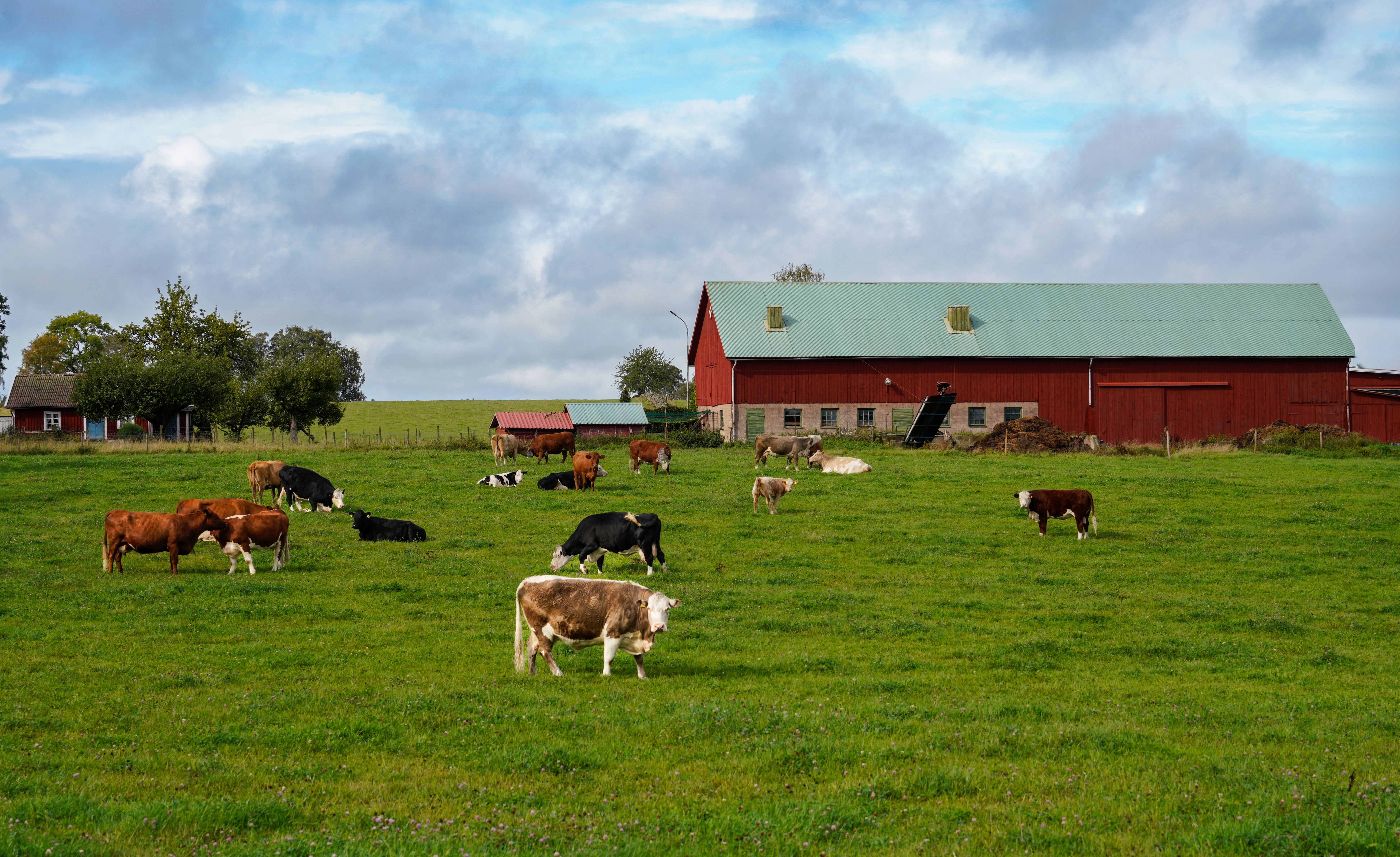 Unplug & Reconnect: Why Farm Stays Are the ULTIMATE Eco-Friendly Getaway of 2026!